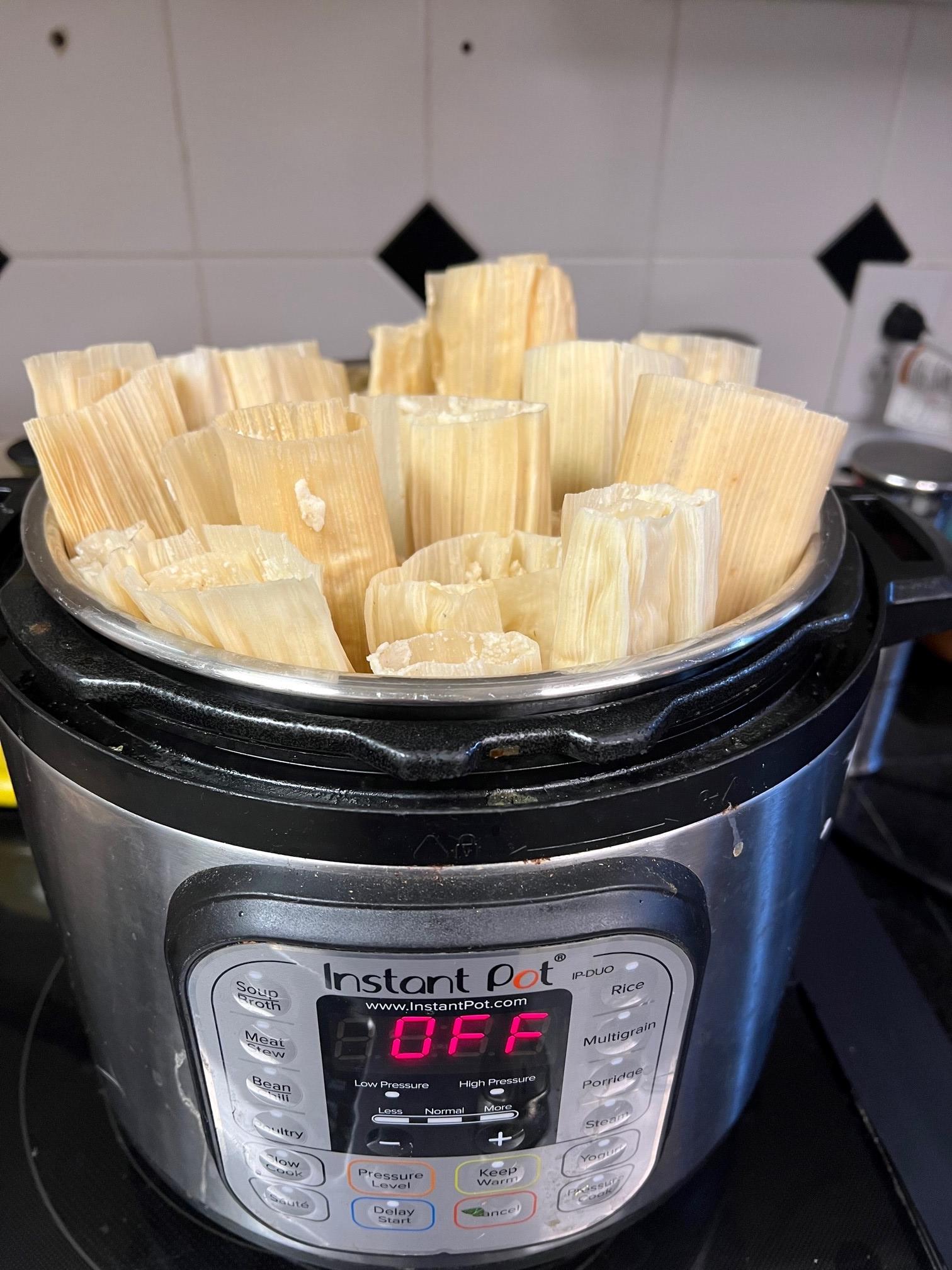 Steam option on online instant pot